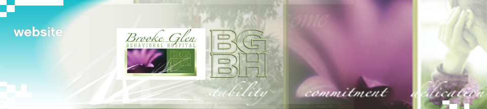 Website Solutions, SEO organic optimization, flash banners, content writing