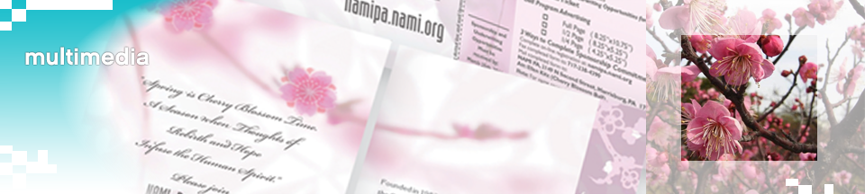 Visual Identity, Collateral, Conference graphics, Direct Mail